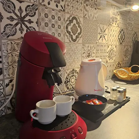 Petit Havre De Paix - Quartier Historique * Tours