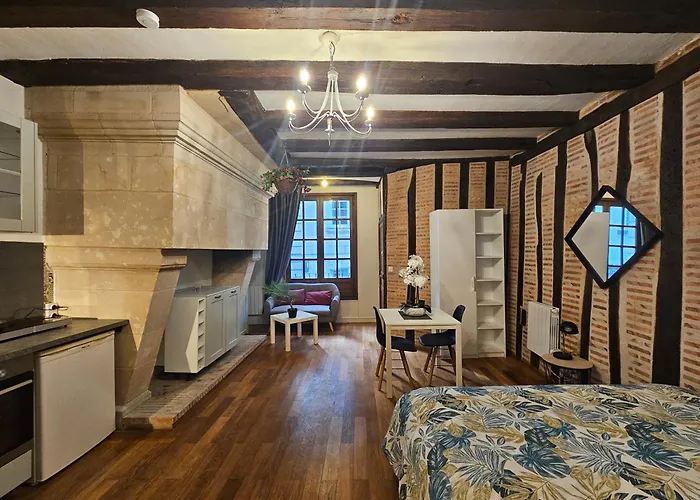 Petit Havre De Paix - Quartier Historique * Tours