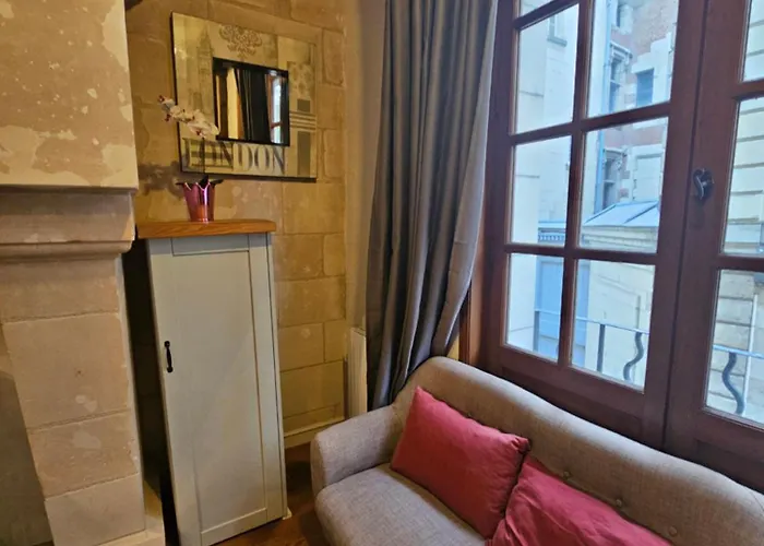 Petit Havre De Paix - Quartier Historique Tours