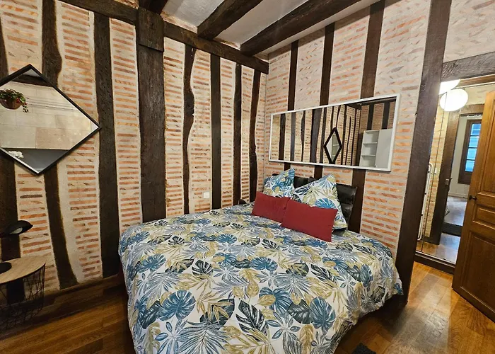 Petit Havre De Paix - Quartier Historique Daire Tours