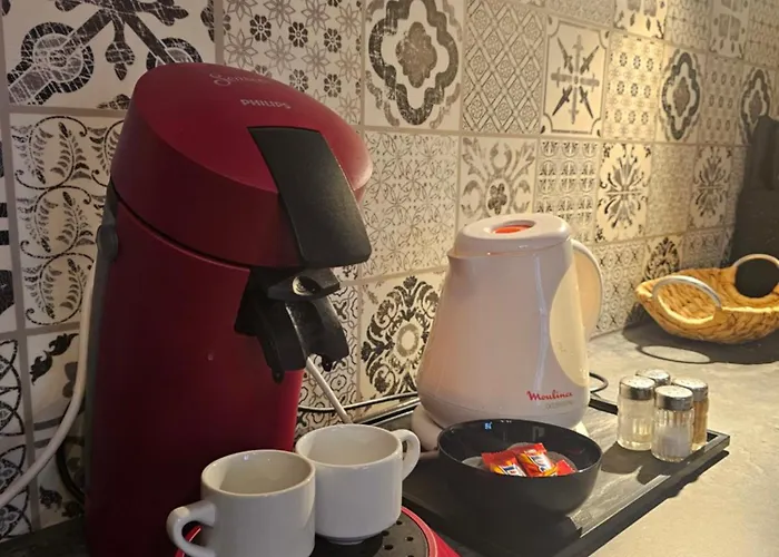 Petit Havre De Paix - Quartier Historique * Tours